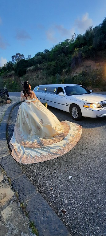 Limousine Royal