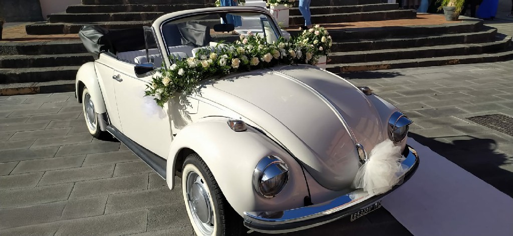 Maggiolino Cabrio Bianco