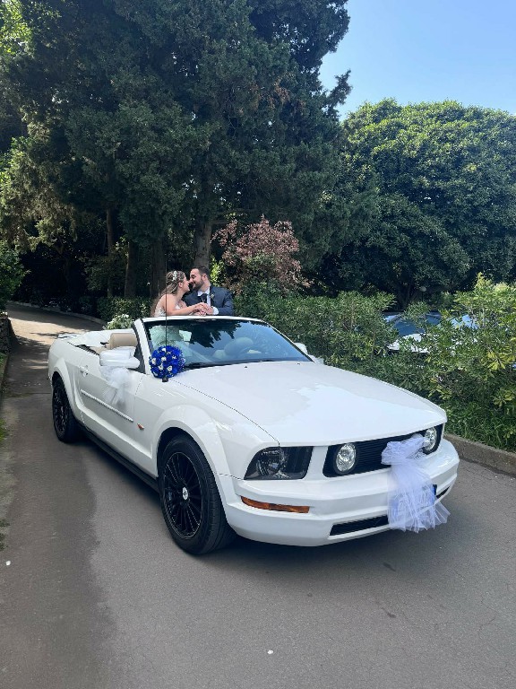 Mustang Bianca