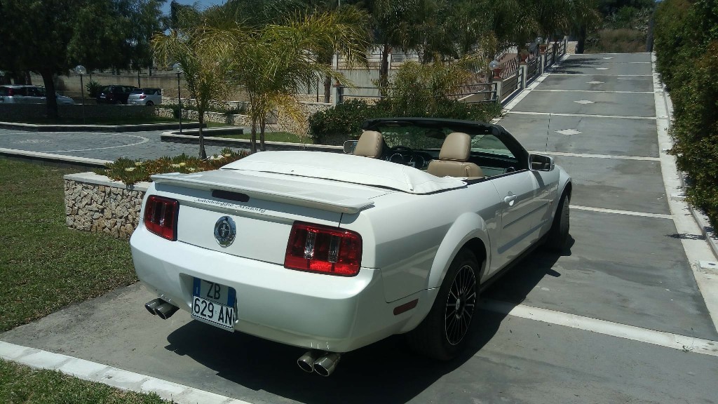 Mustang Bianca