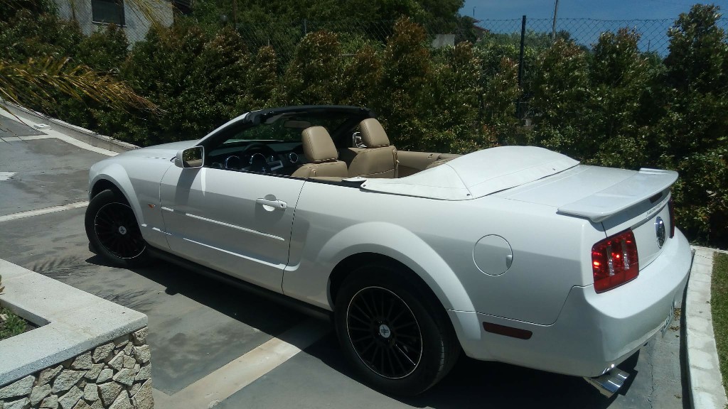 Mustang Bianca