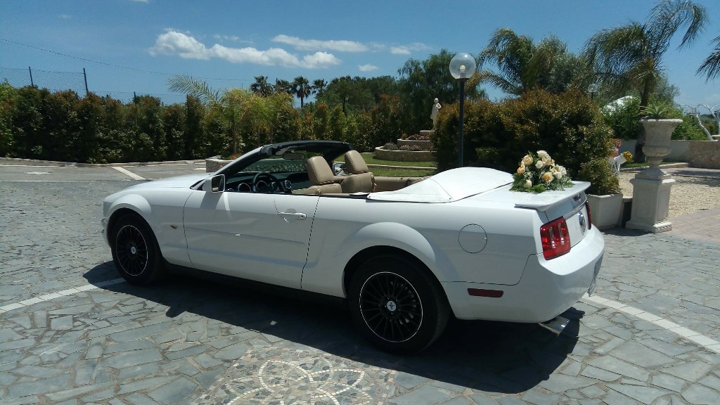 Mustang Bianca
