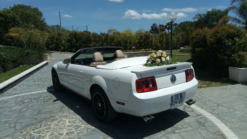 Mustang Bianca