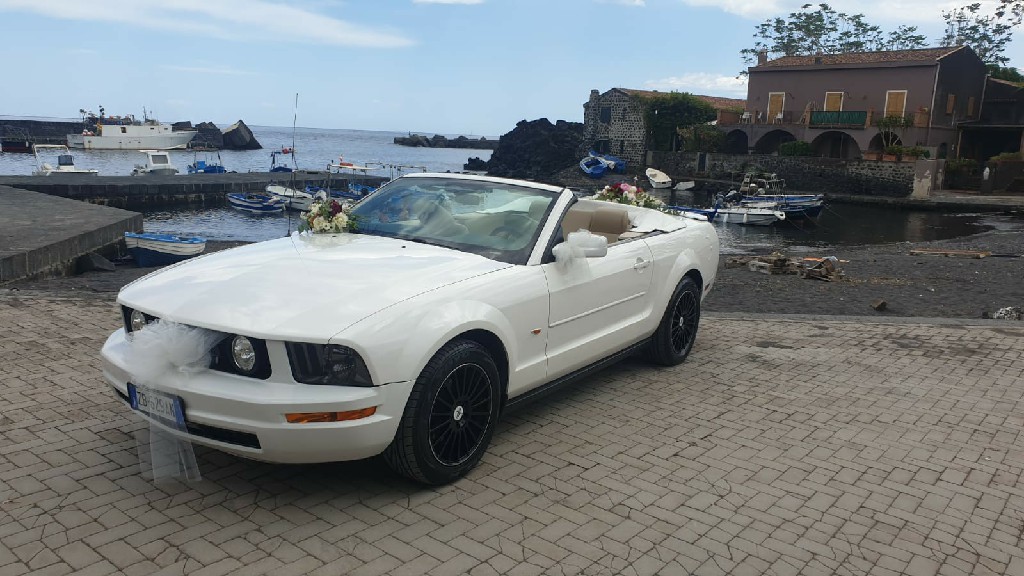 Mustang Bianca